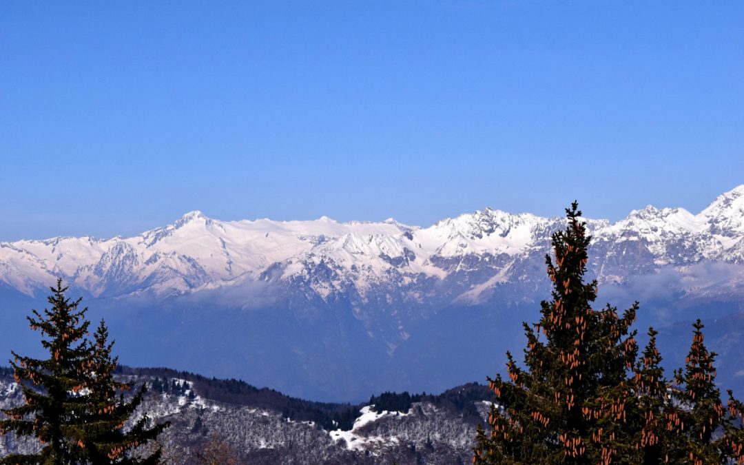 ONTDEK HET GEHEIM VAN JE BREIN ! - Prime Performance